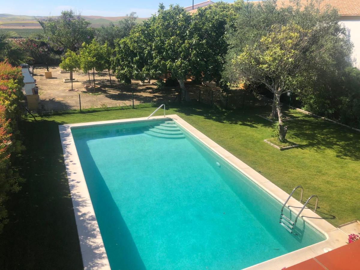 Vivienda Rural Olivar De San Telmo Arcos de la Frontera Extérieur photo