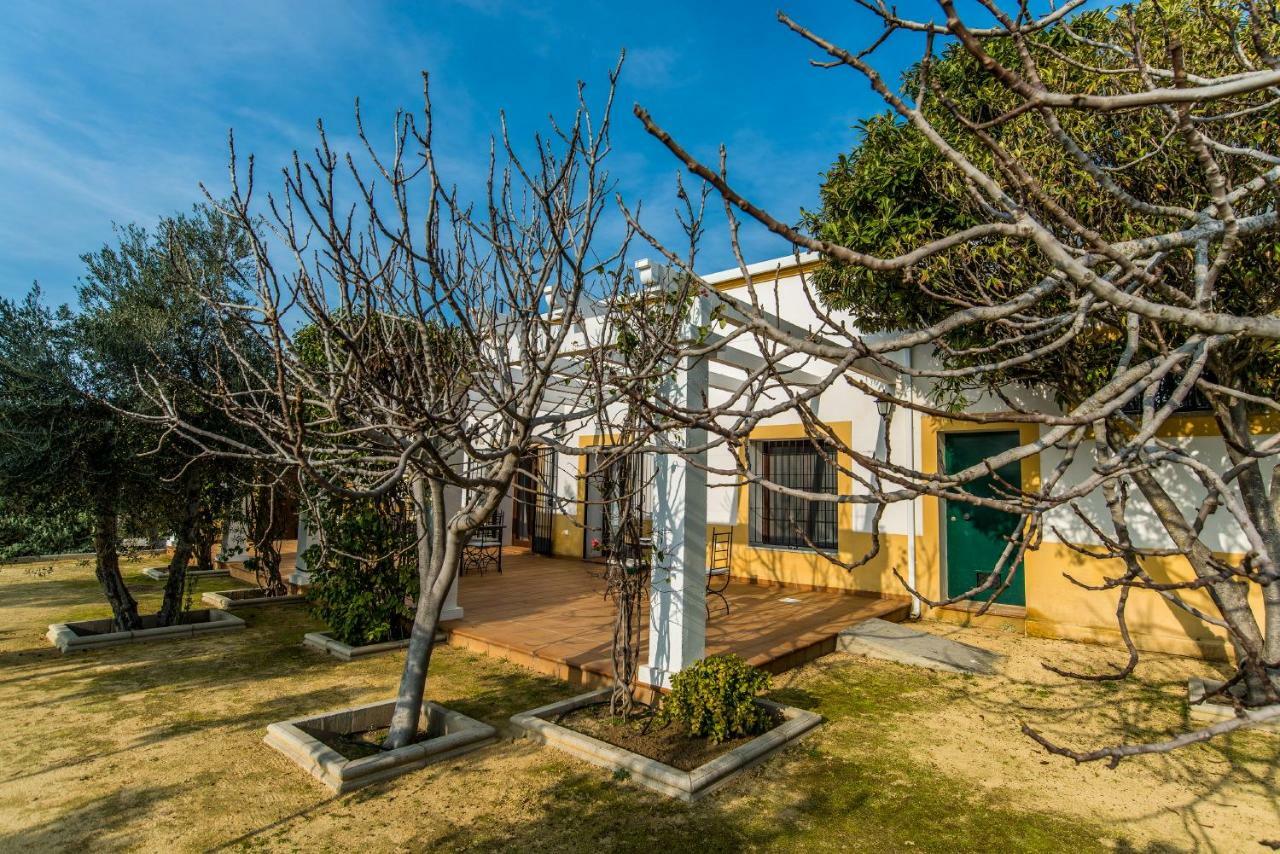Vivienda Rural Olivar De San Telmo Arcos de la Frontera Extérieur photo