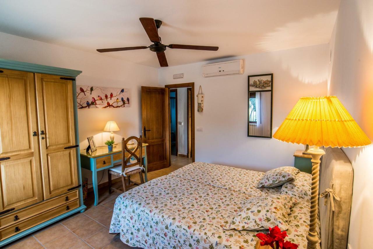 Vivienda Rural Olivar De San Telmo Arcos de la Frontera Extérieur photo