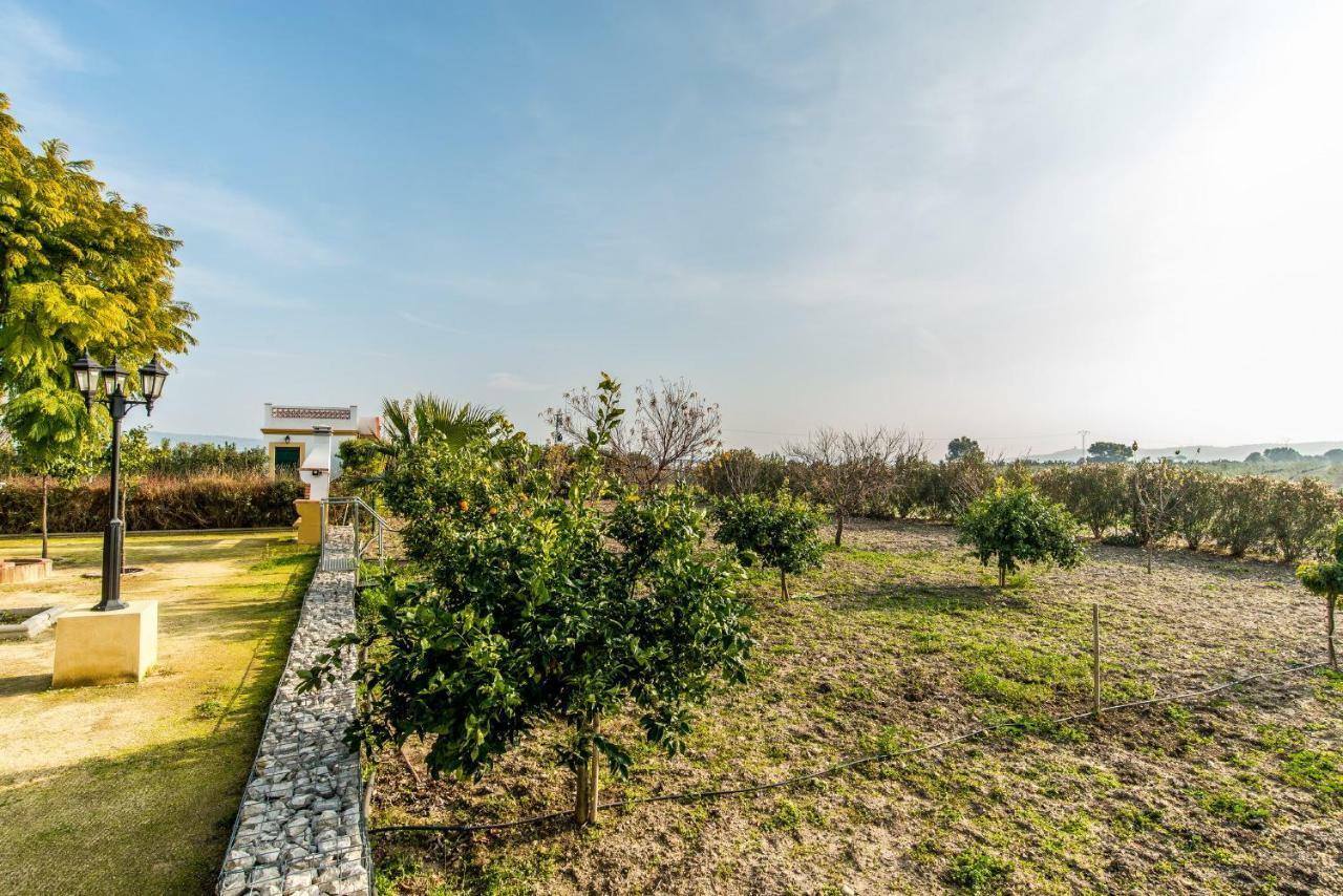 Vivienda Rural Olivar De San Telmo Arcos de la Frontera Extérieur photo
