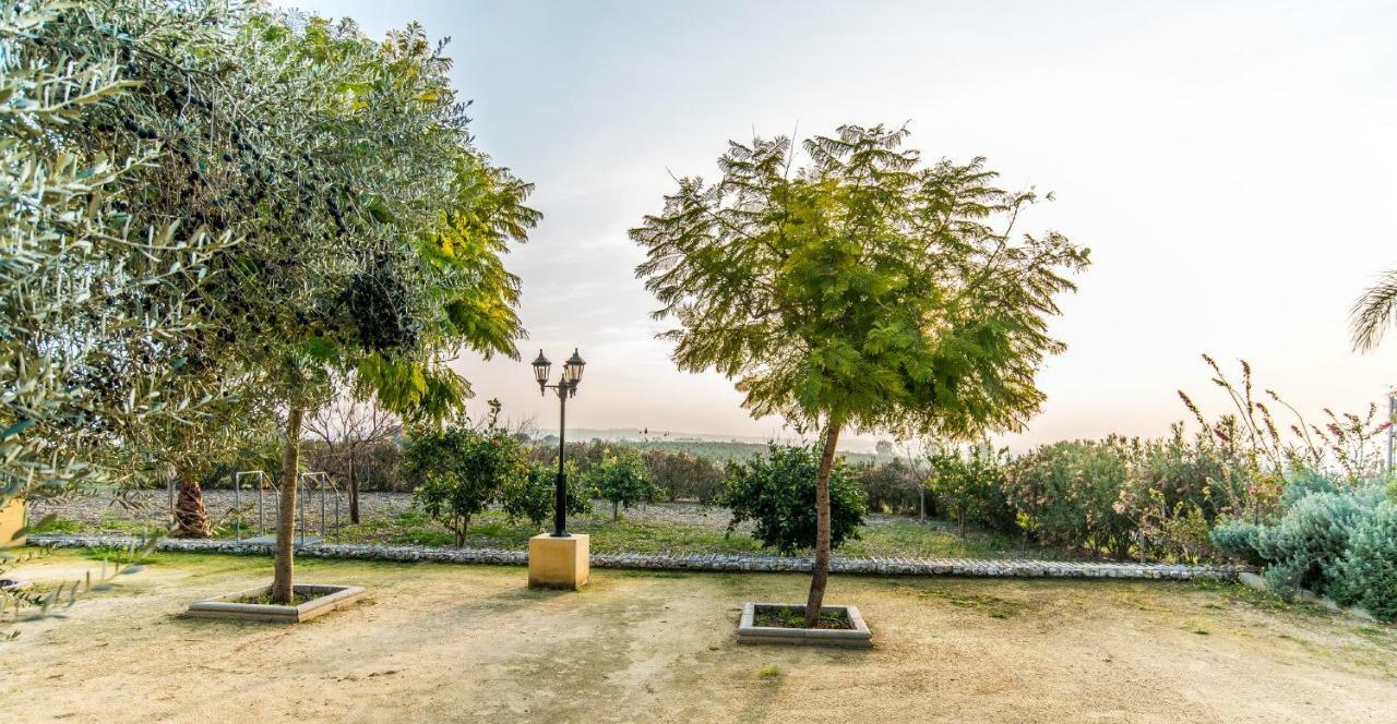 Vivienda Rural Olivar De San Telmo Arcos de la Frontera Extérieur photo